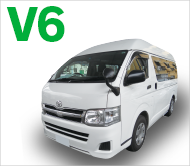 ハイエースV、ハイルーフ